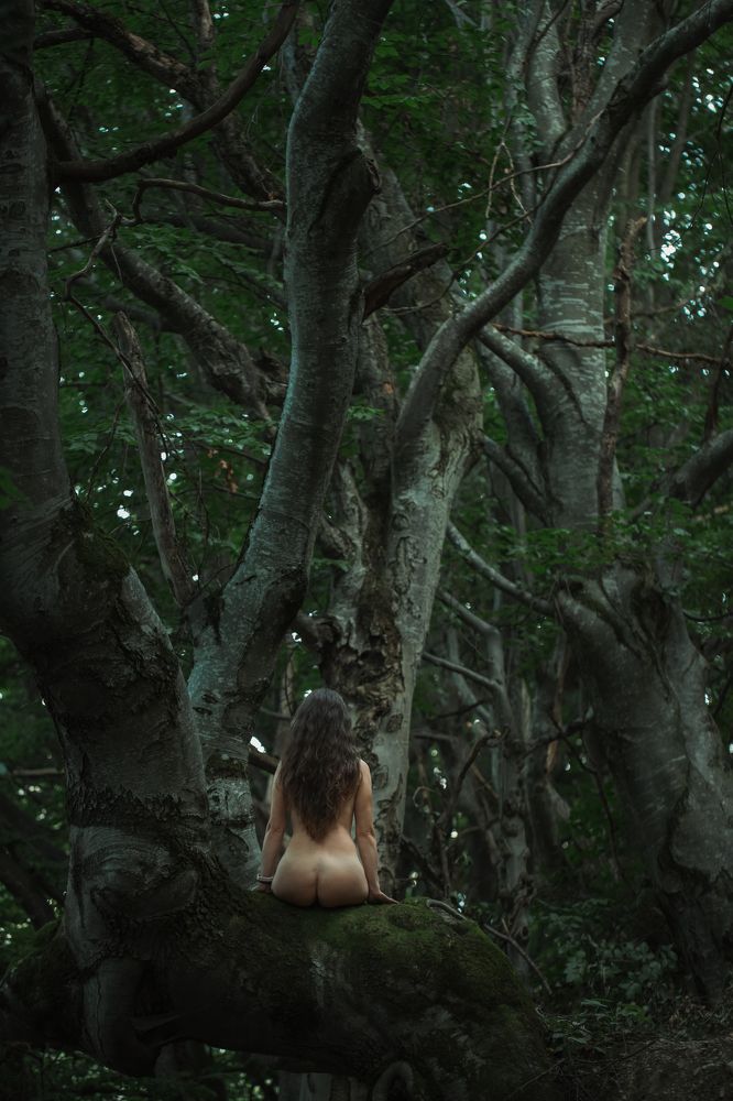 Фотография автора COSMIN GIURGIU