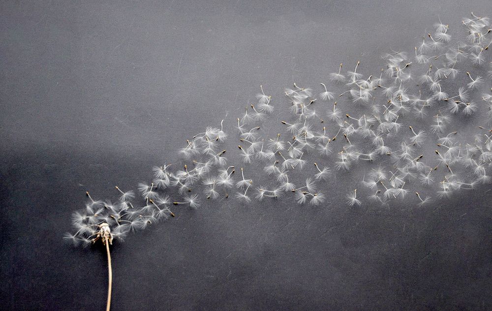 Жизнь продолжается