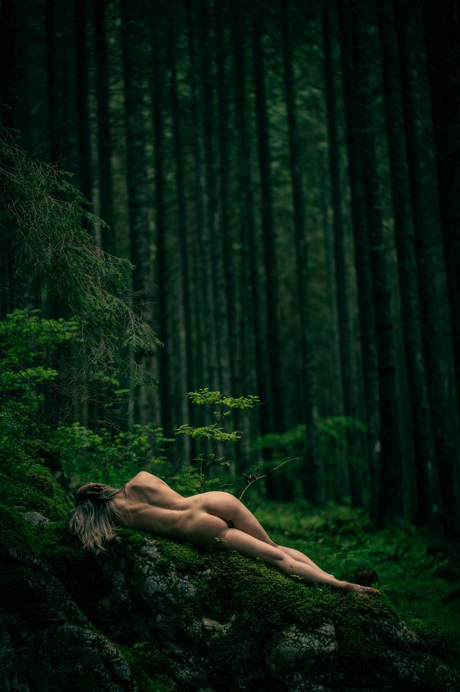 Фотография автора COSMIN GIURGIU