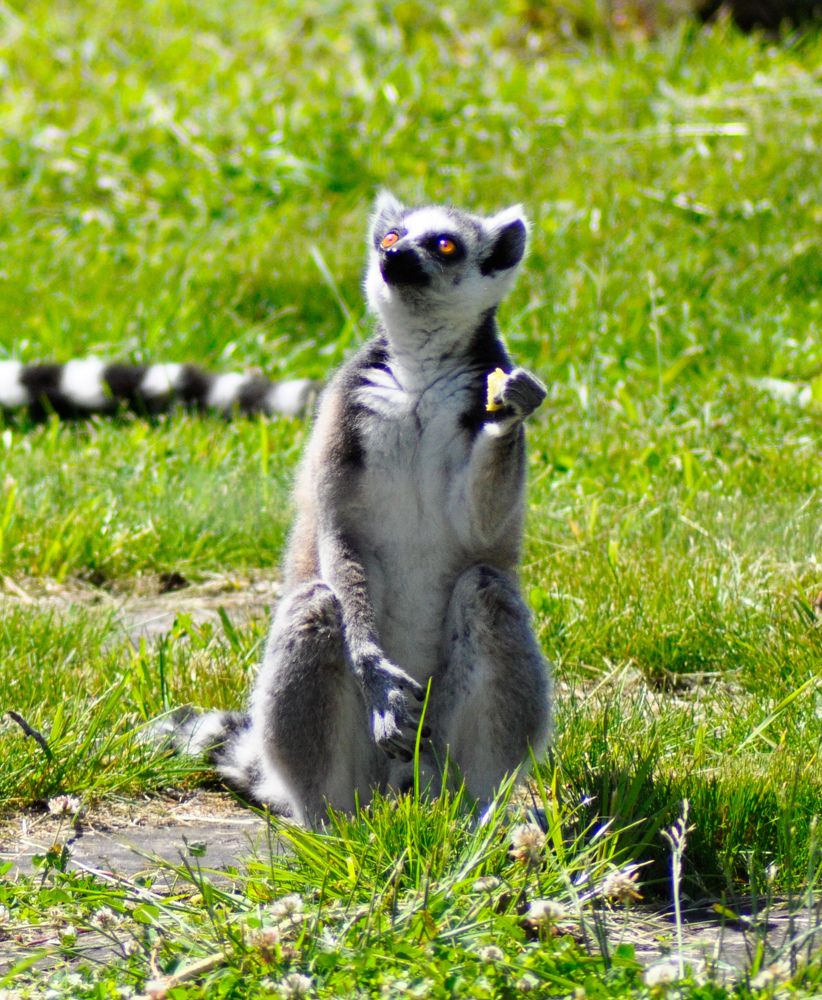 Photograph by Анастасия Тазиева