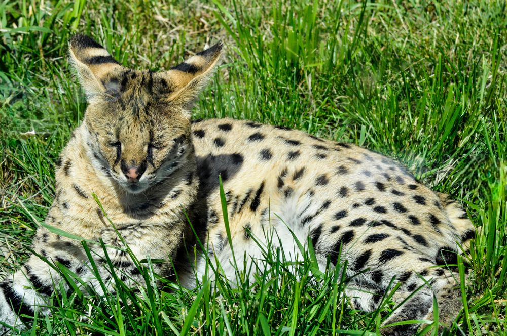 Photograph by Анастасия Тазиева