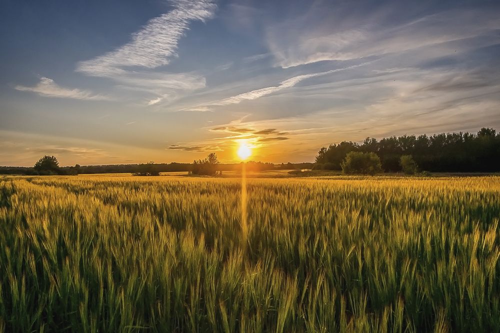 Photograph by Елена Ворошина