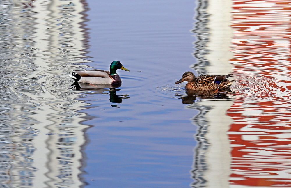 Photograph by Бибичков Михаил