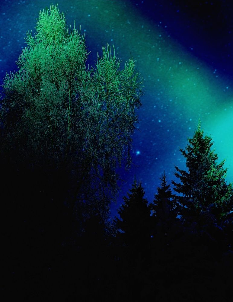 Photograph by Татьяна Гулакова