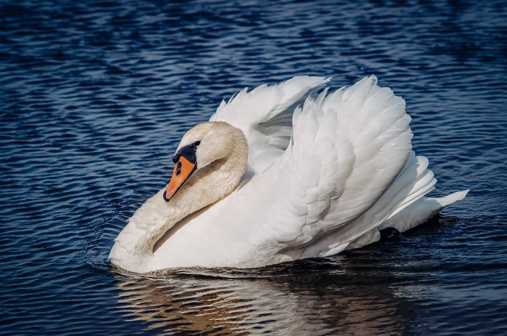 Photograph by Юлия