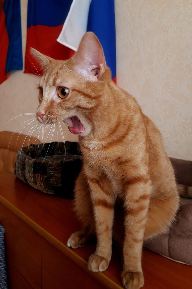 Photograph by Дмитрий Симагин