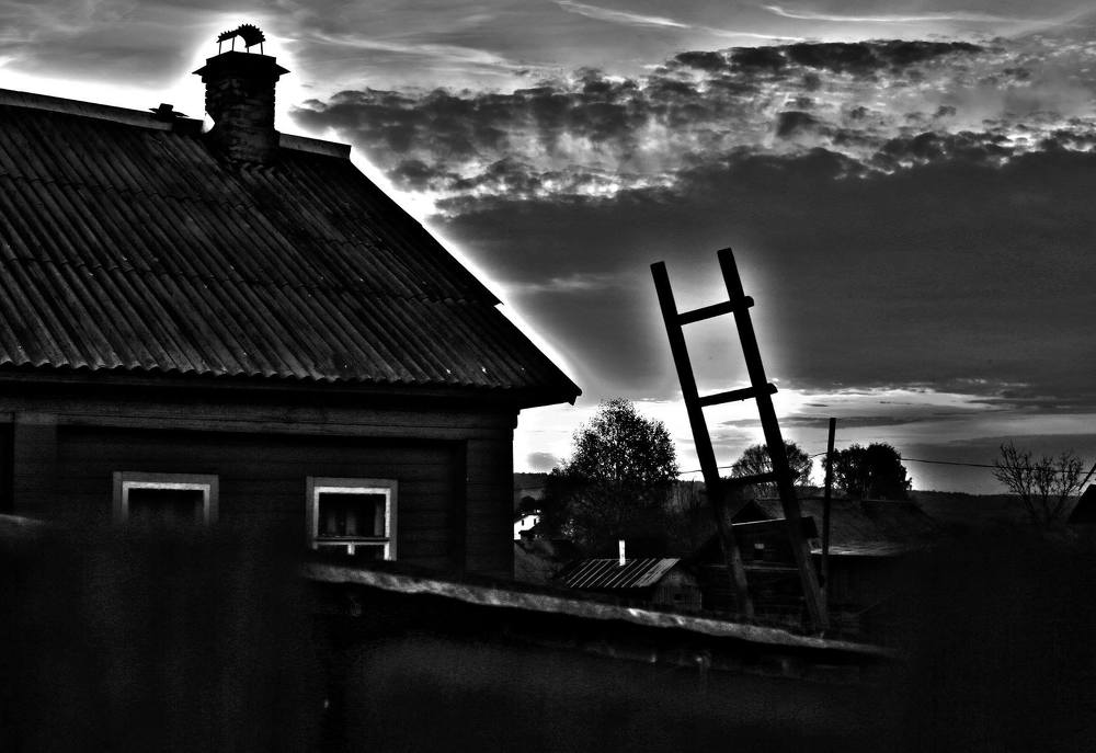 Photograph by anastasia kuskova