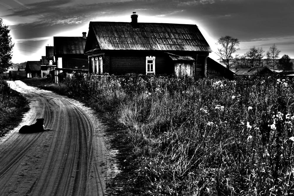 Photograph by anastasia kuskova