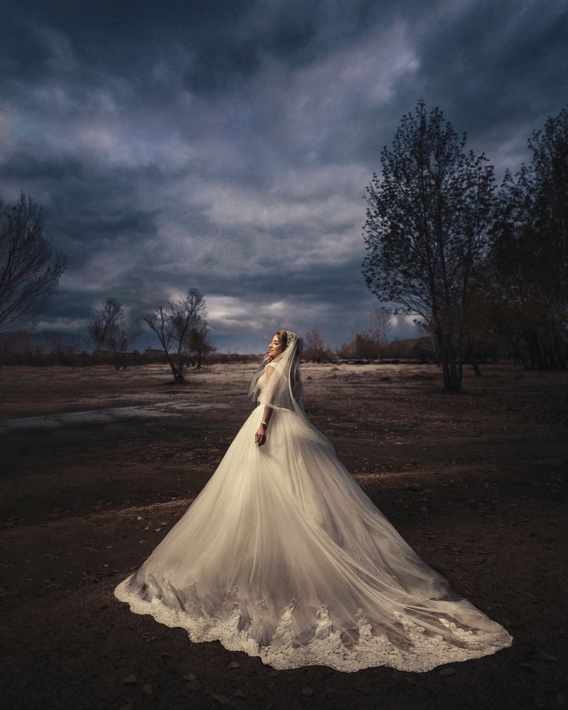 Photograph by Mohammad Hassan Naserolmemar