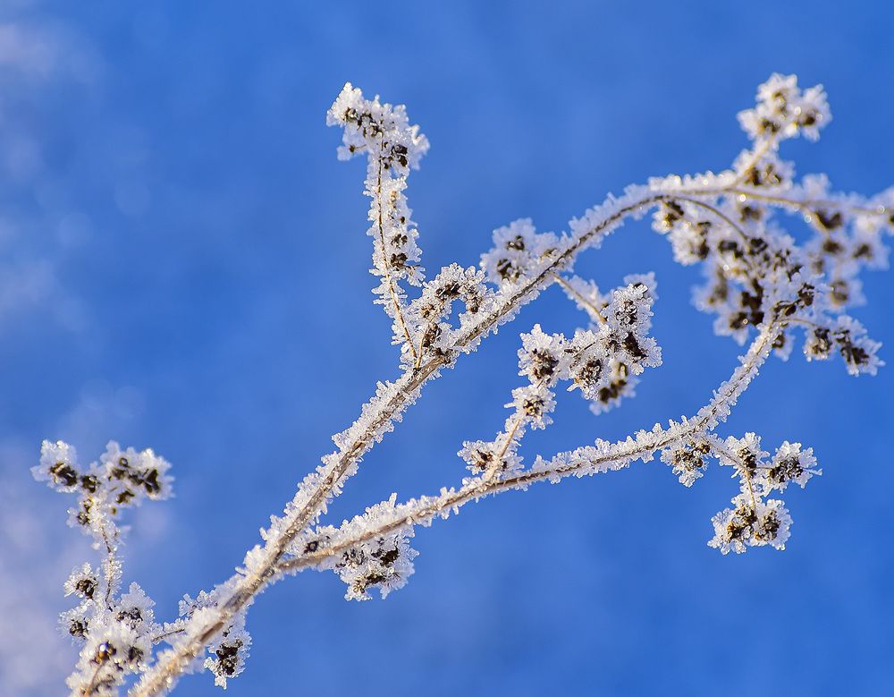 Волшебство зимы