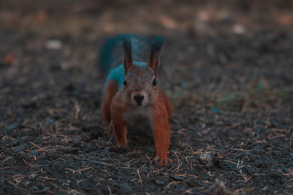 Photograph by Нуриев Максим