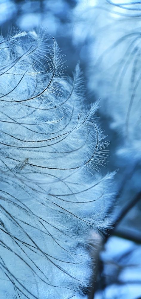 Photograph by ЕЛЕНА Рохо-Фернандес