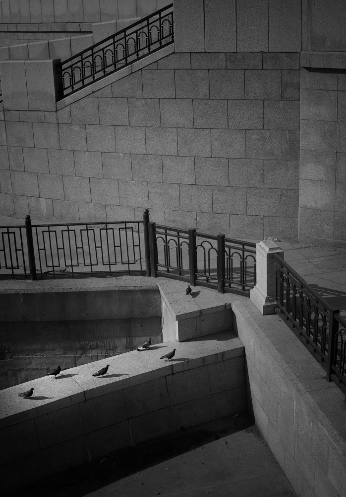 Photograph by Сергей