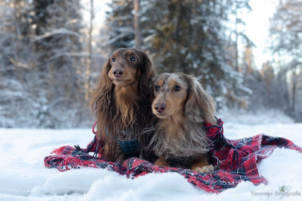 Photograph by Татьяна