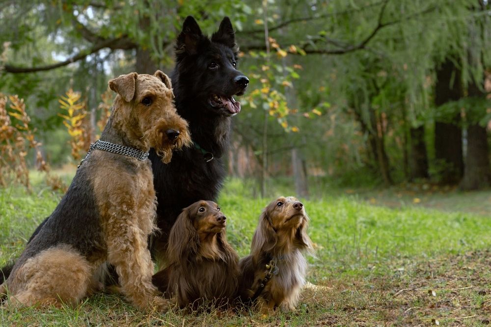 Photograph by Татьяна