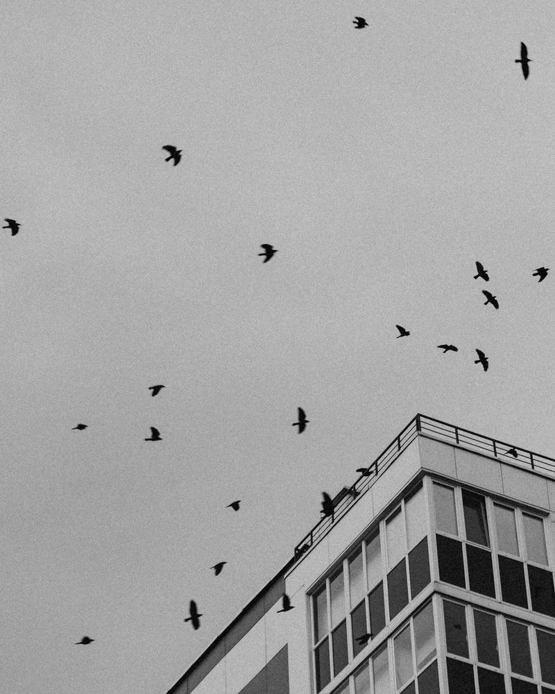 Фотография автора Ирина Мосько