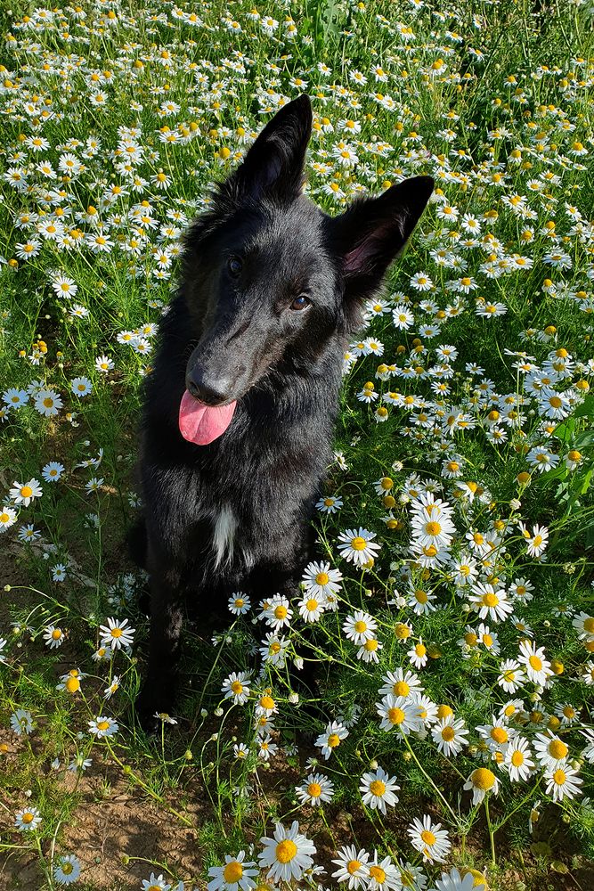 Фотография автора Надежда Лисицына