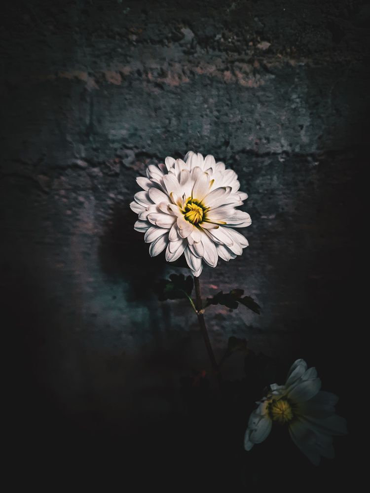 Photograph by Наталья Чередниченко