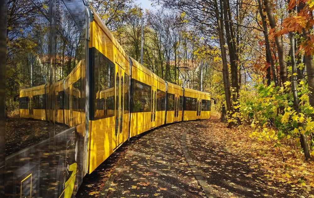 In the colors of autumn