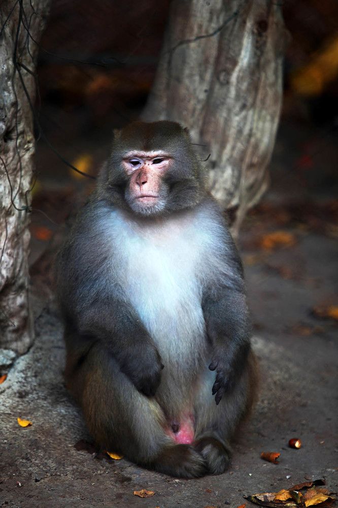 Photograph by mehdi karimi souderjani