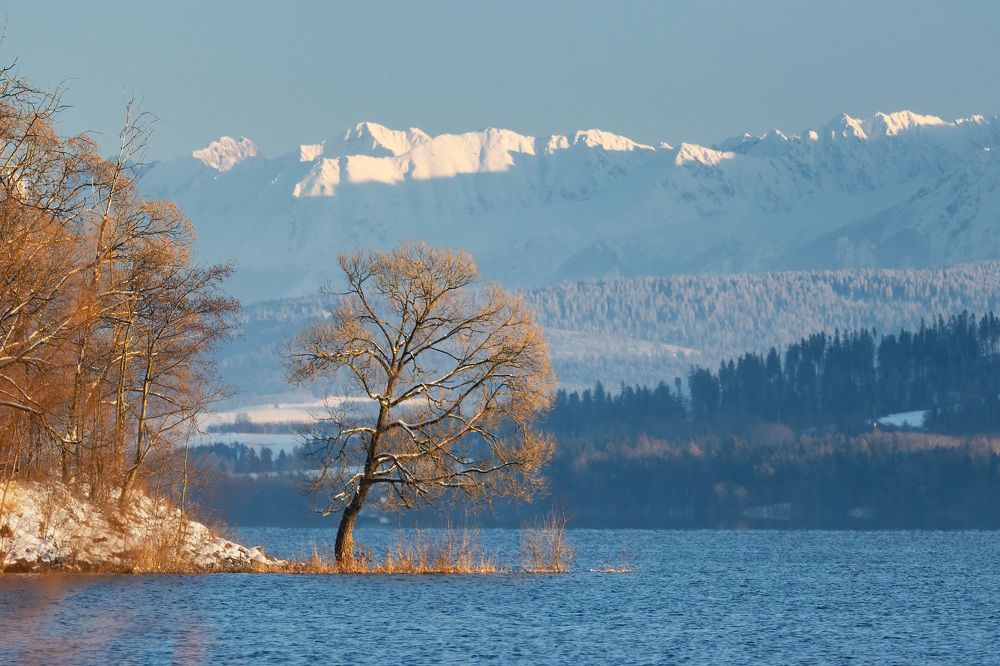 Photograph by Milan Chudoba