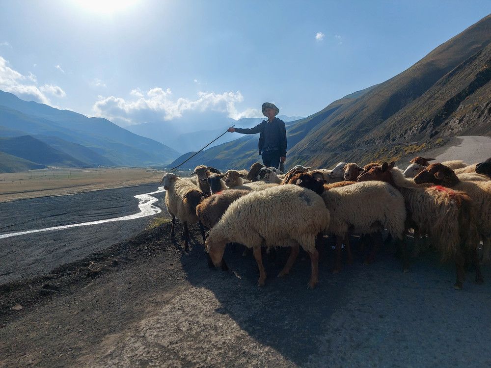 Photograph by esti lahat