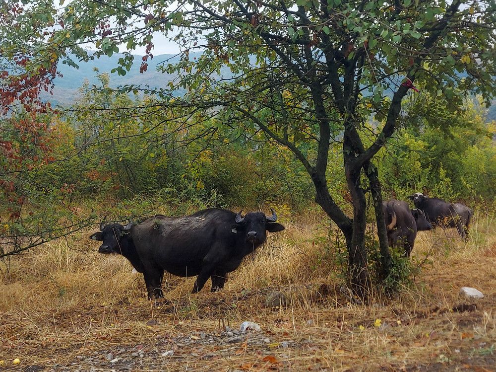 Photograph by esti lahat