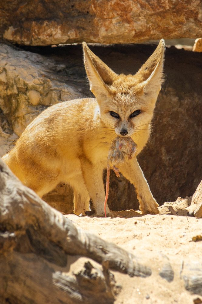 Photograph by esti lahat