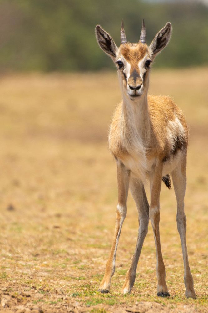 Photograph by esti lahat