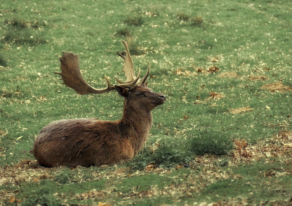 Photograph by Natalia Bolotenkova