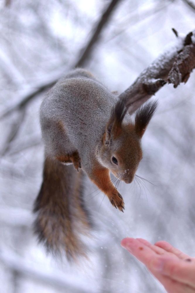 Photograph by Мария Глухова