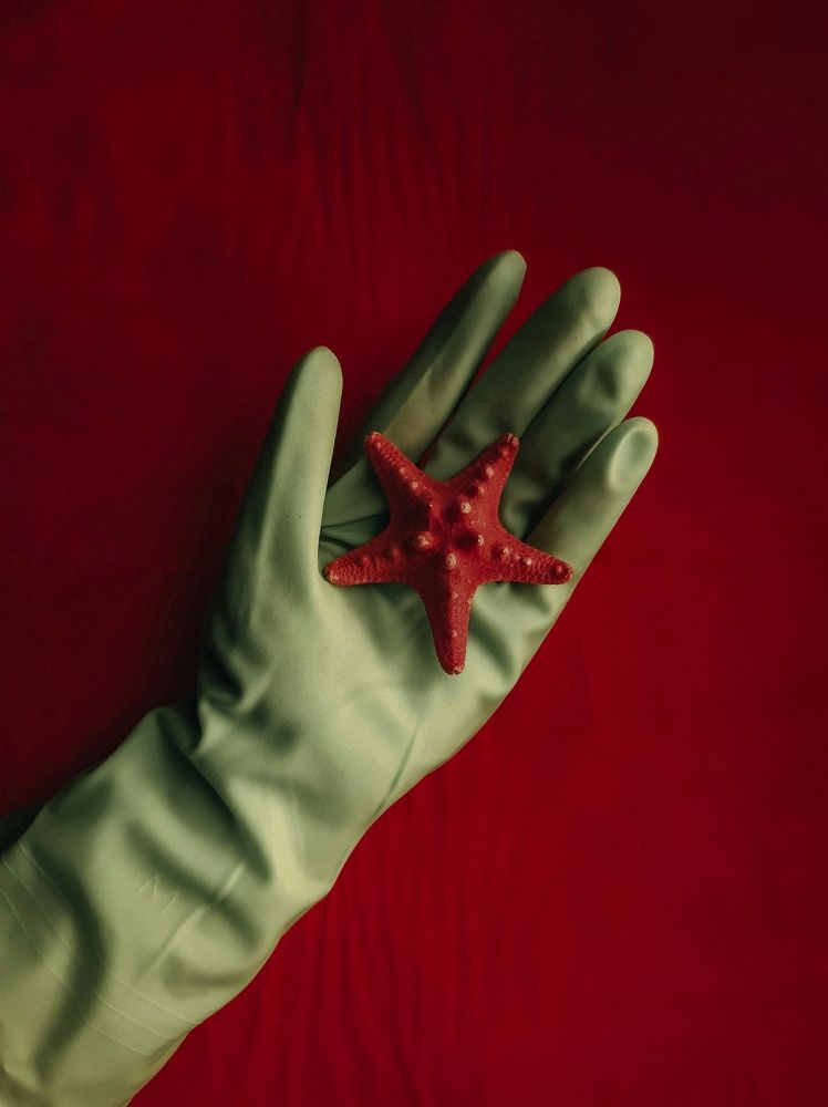 Photograph by Алия Латыйпова