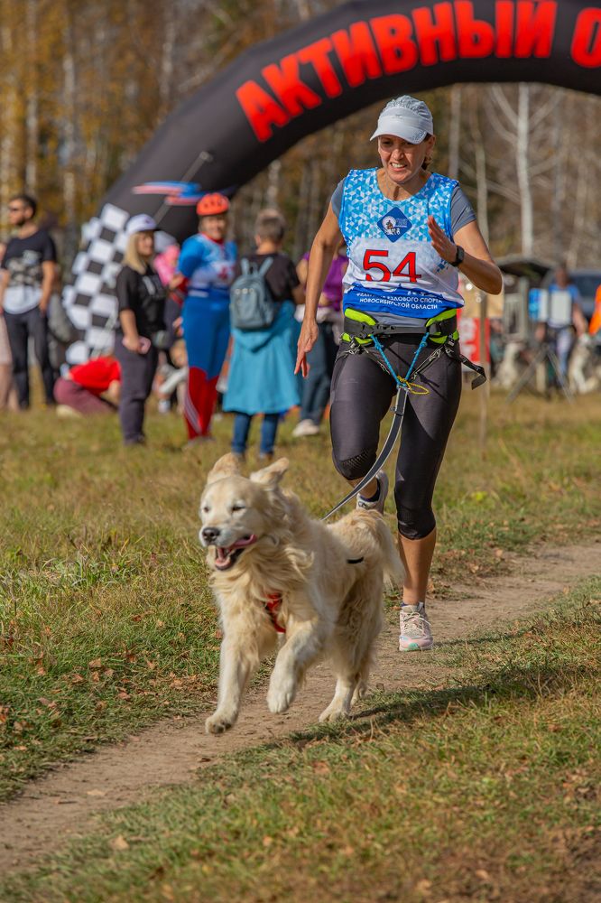 Photograph by Елена Павлова