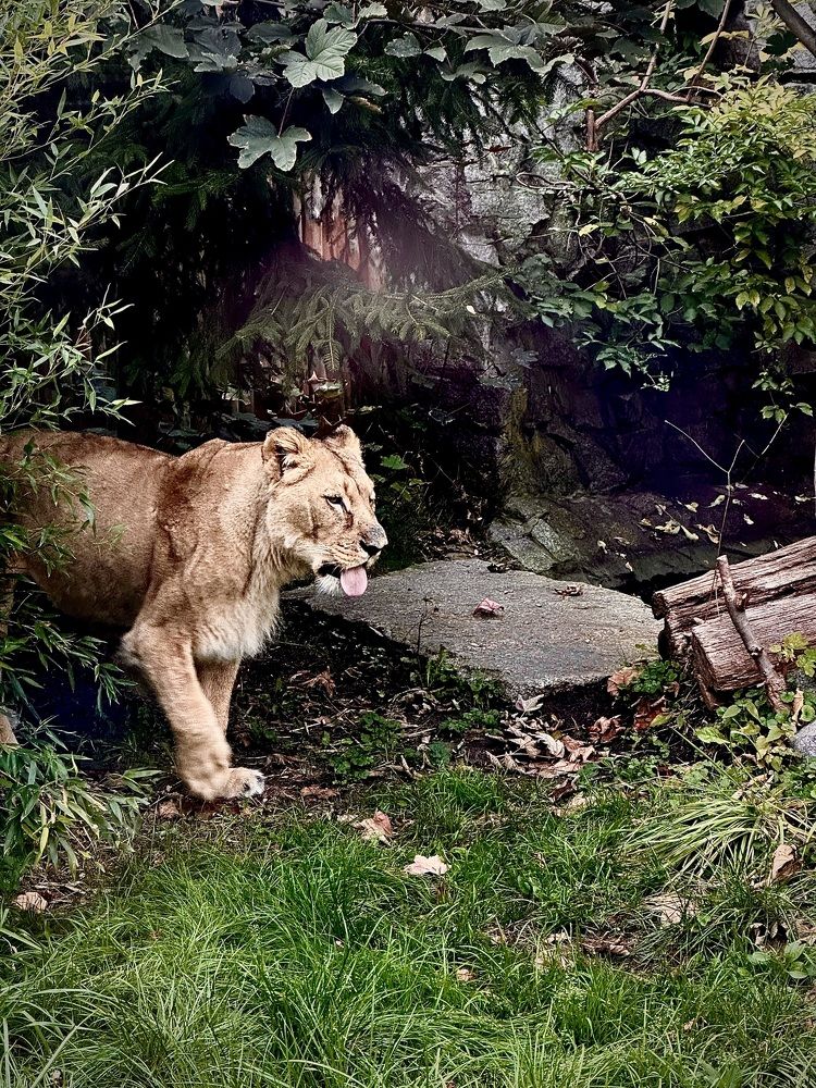 Photograph by Наумова Татьяна