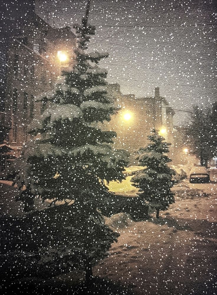 Photograph by Sergey Kurkov-Tarkovsky