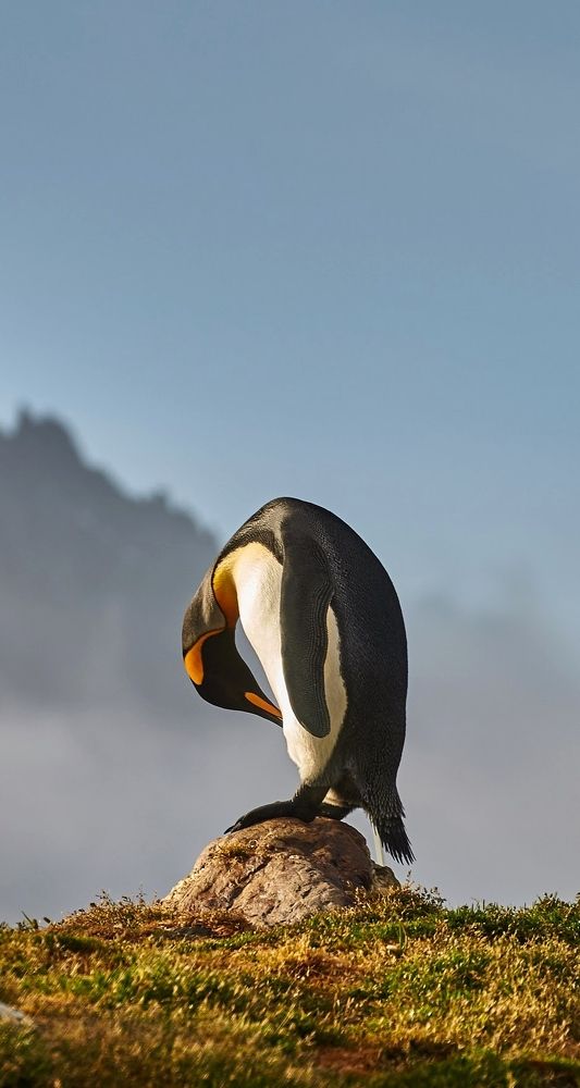 Фотография автора Tatiana Yerushevskaya