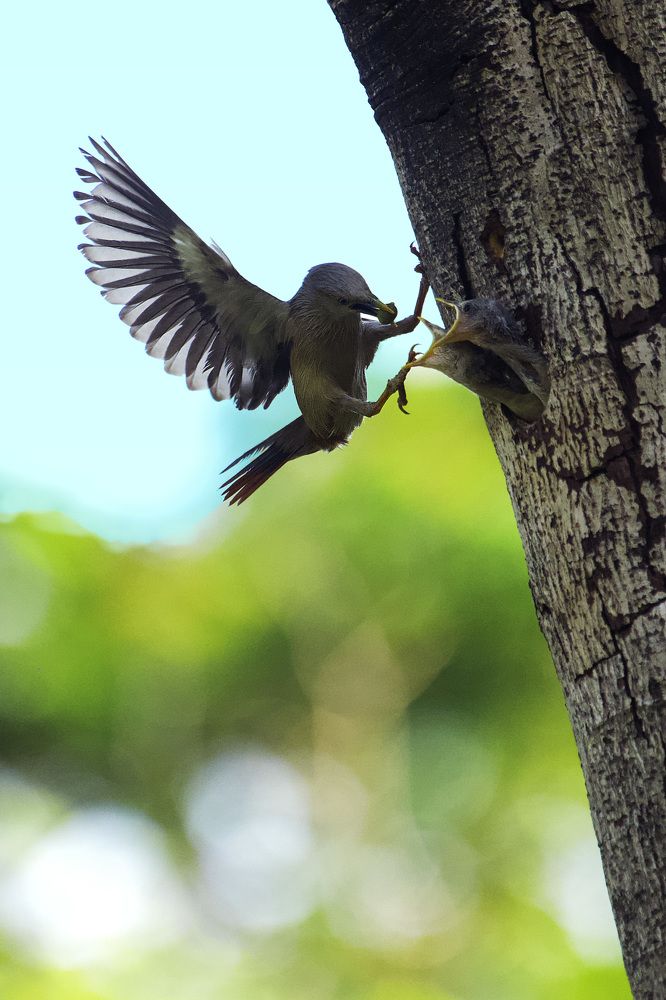 Photograph by ĐẶNG TRUNG NGÂN