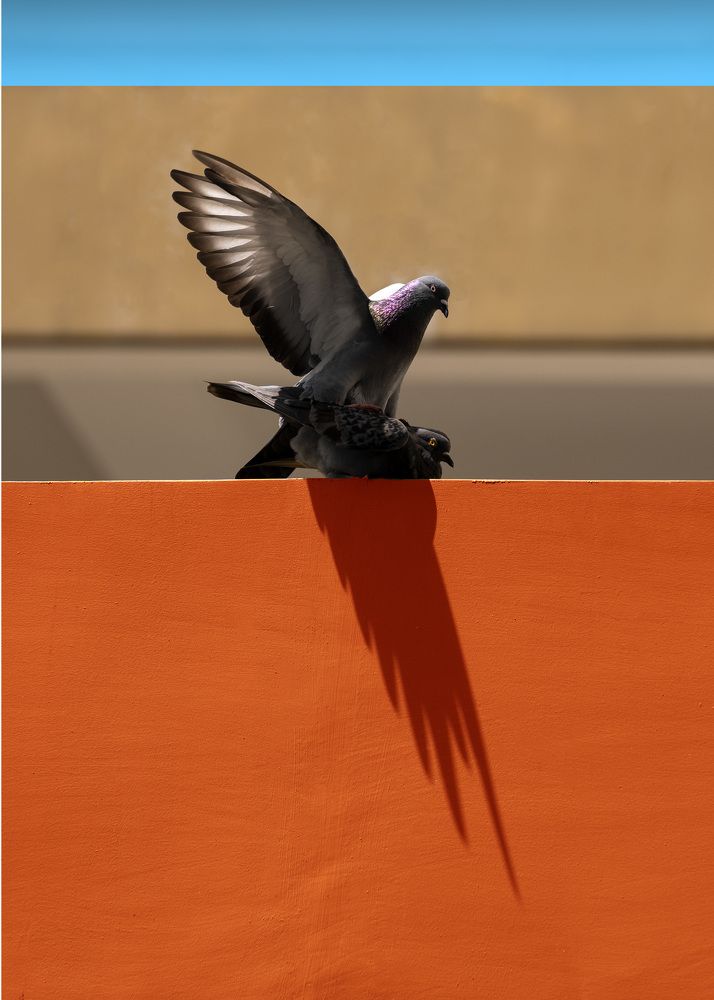 Photograph by ĐẶNG TRUNG NGÂN