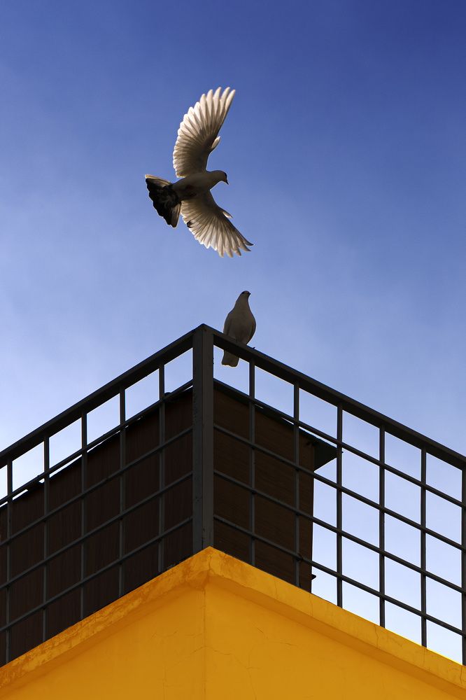 Photograph by ĐẶNG TRUNG NGÂN