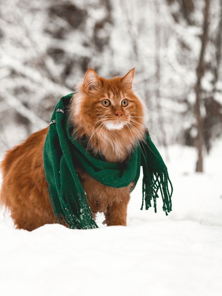 Photograph by Татьяна