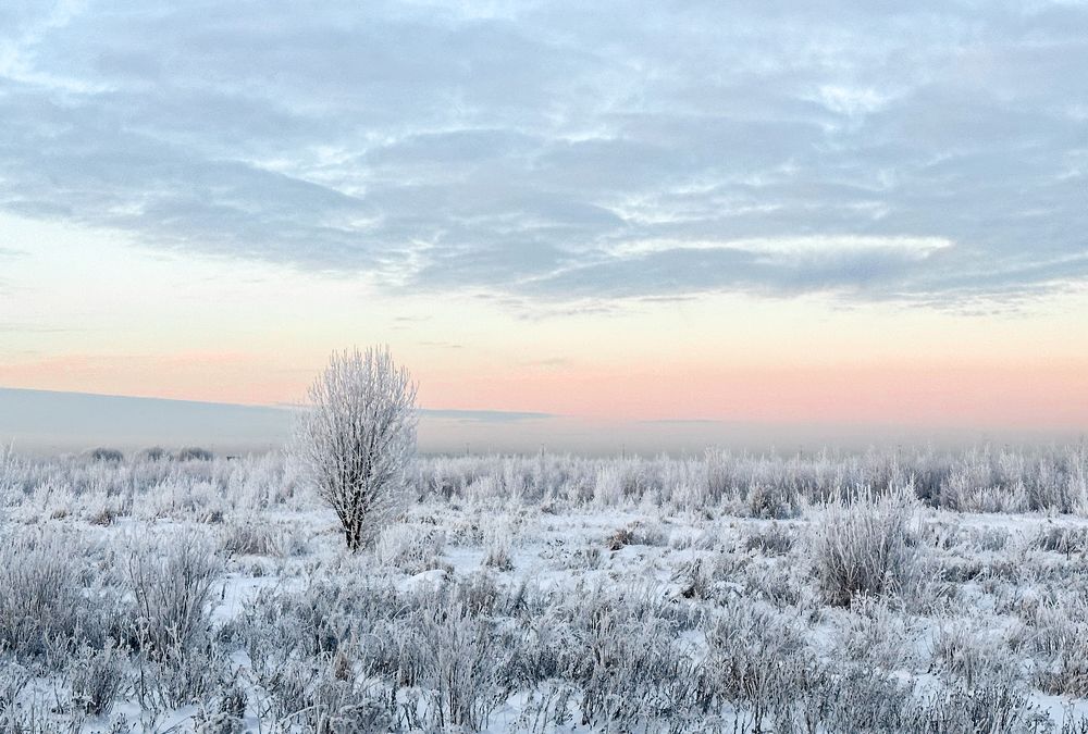 Фотография автора Татьяна Голубева
