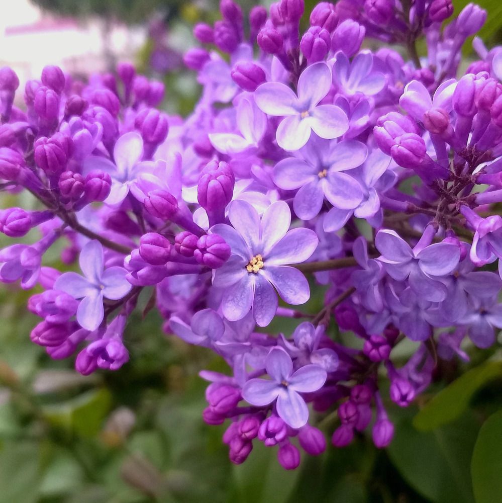 Photograph by Елена Муковникова