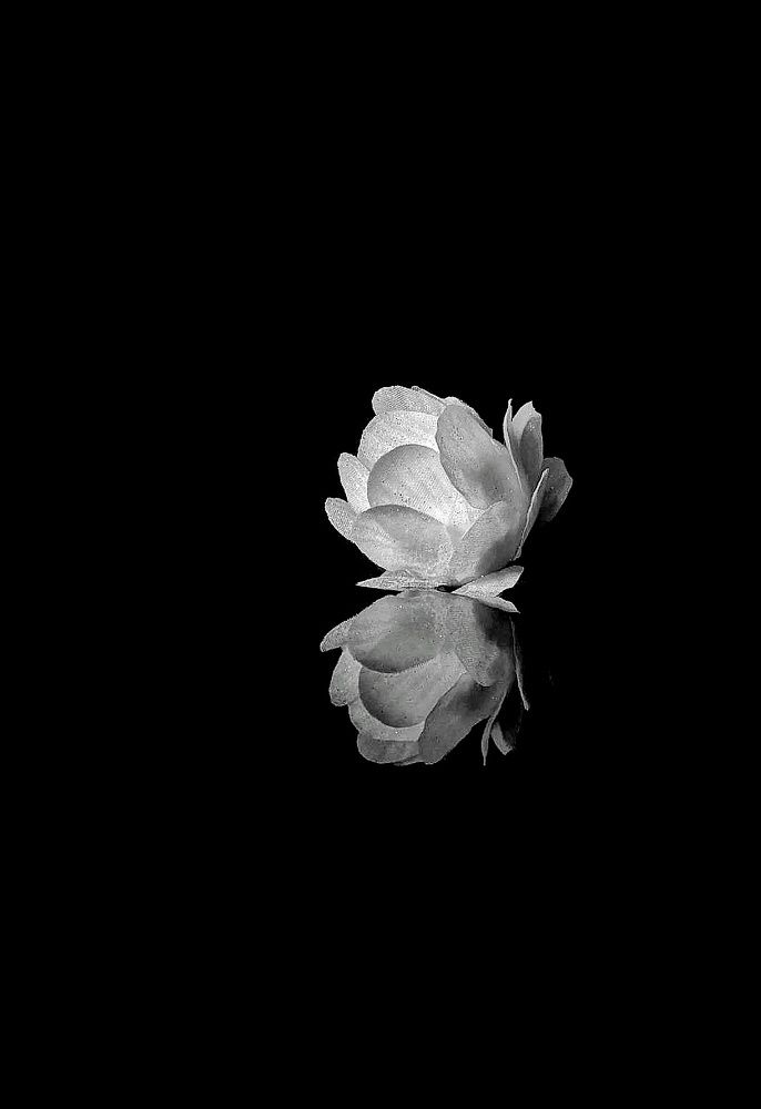 Photograph by Дина Желанова