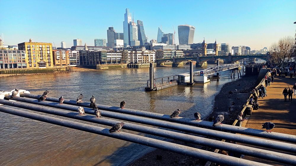 Photograph by Владимир Гречанинов