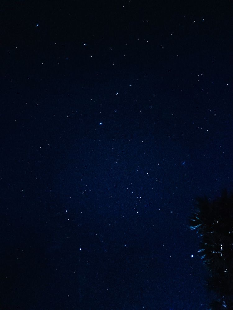 Photograph by Thusani Puvanendrarajah