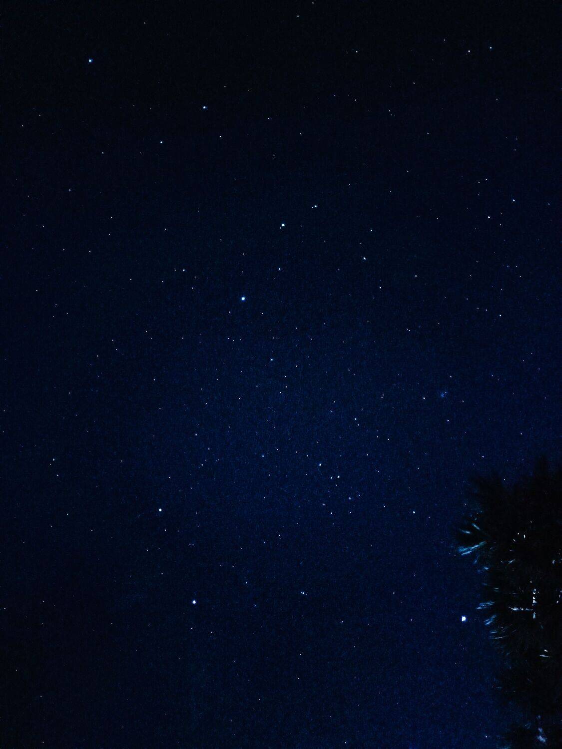 Photo #9951067