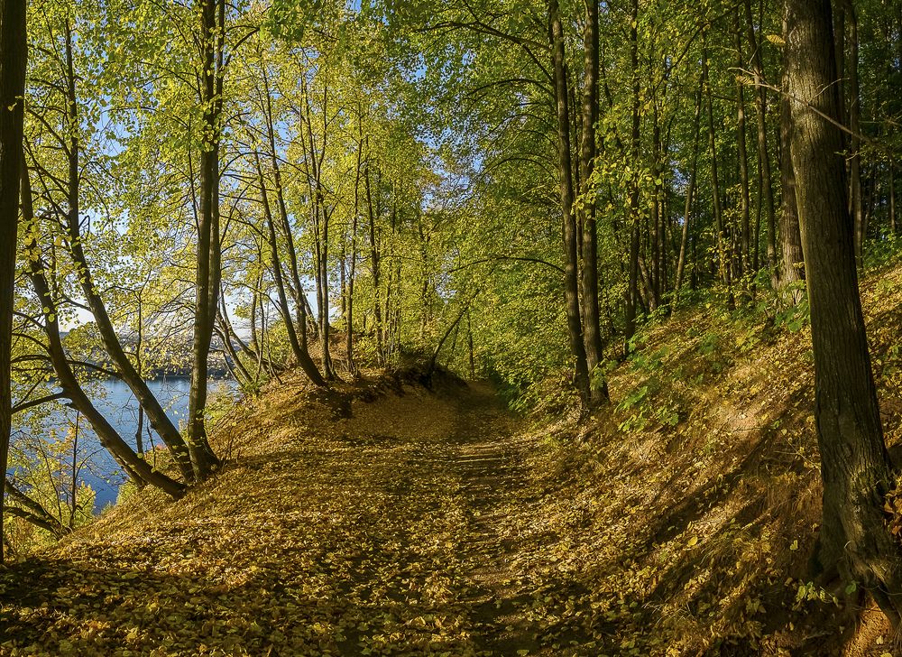 Photograph by Елена Ворошина