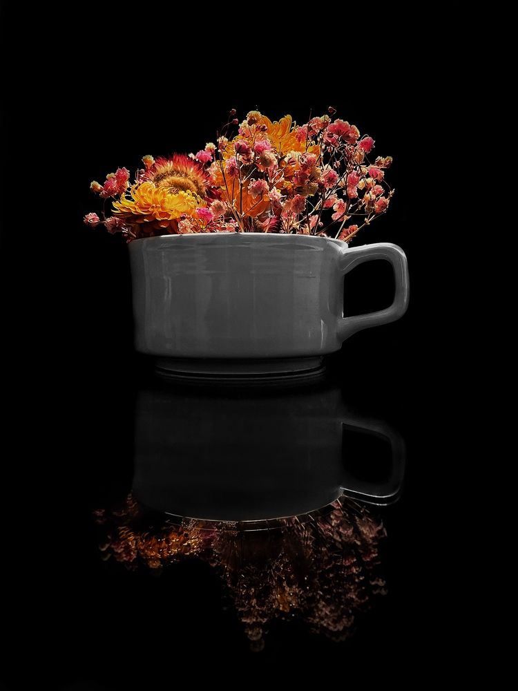 Photograph by Елена Фатеева