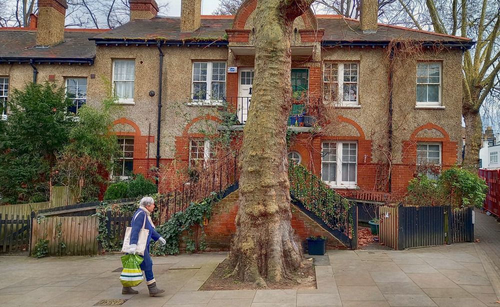 Photograph by Владимир Гречанинов