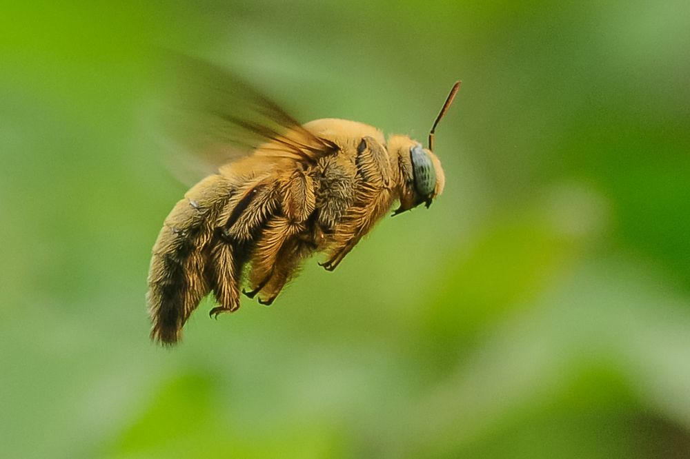 Photograph by Maryanto